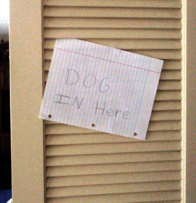 Dog in Here
