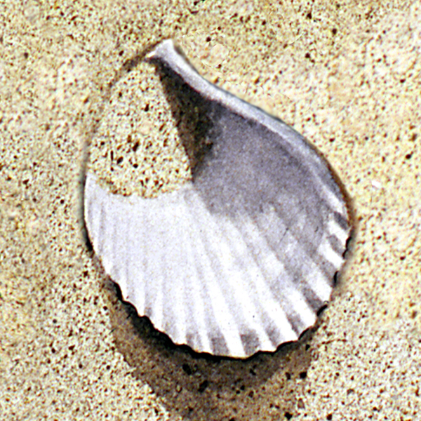 This is a close-up of an old watercolor painting of mine.