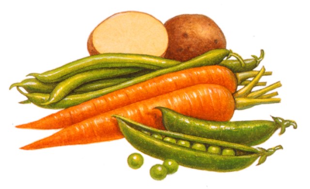 Mixed Vegetables