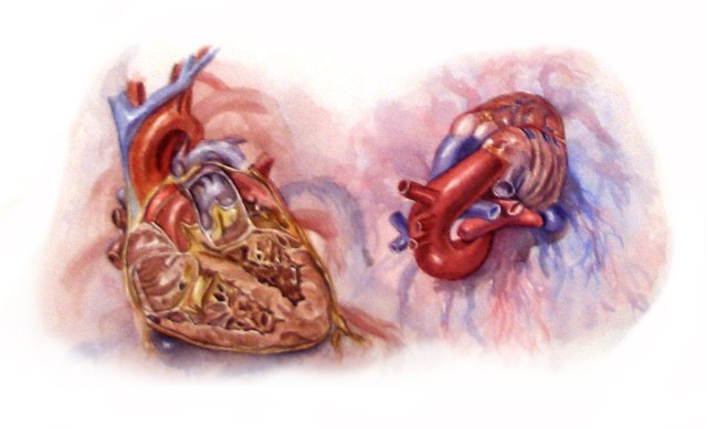 Watercolor hearts painted in college