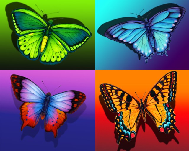 Butterflies 4