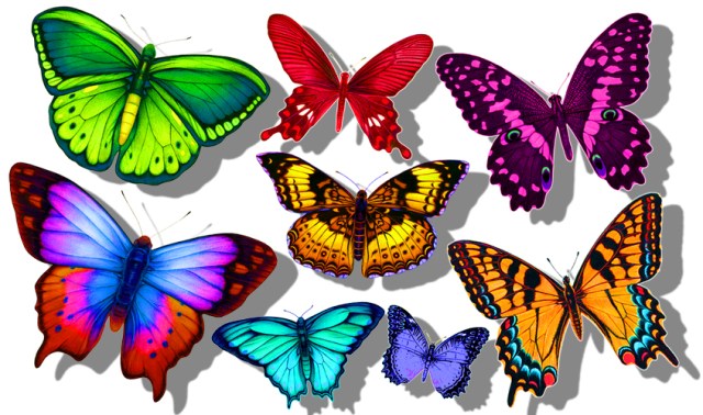 I love illustrating butterflies and this is an assortment I’ve named “Fantasy Butterflies”