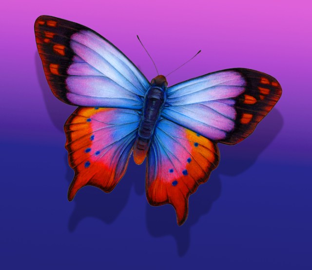 Lavendar Blue Fantasy Butterfly