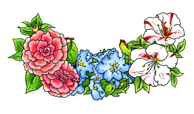 Watercolor Azalea & Camelia