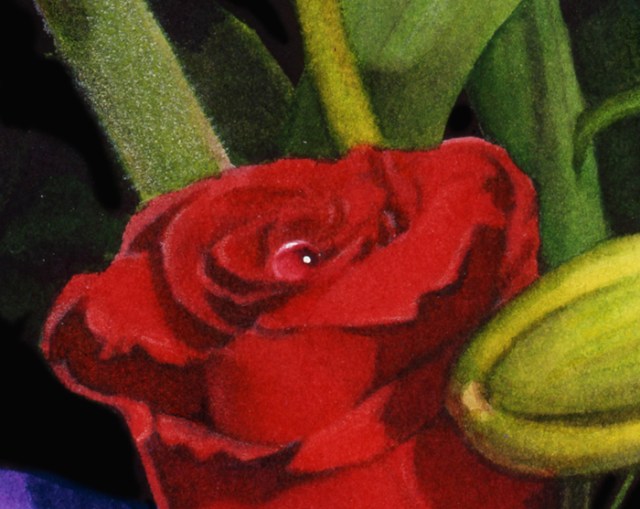 A close-up of one of my watercolor paintings.I love the fuzz on the stem, which I created with colored pencil.