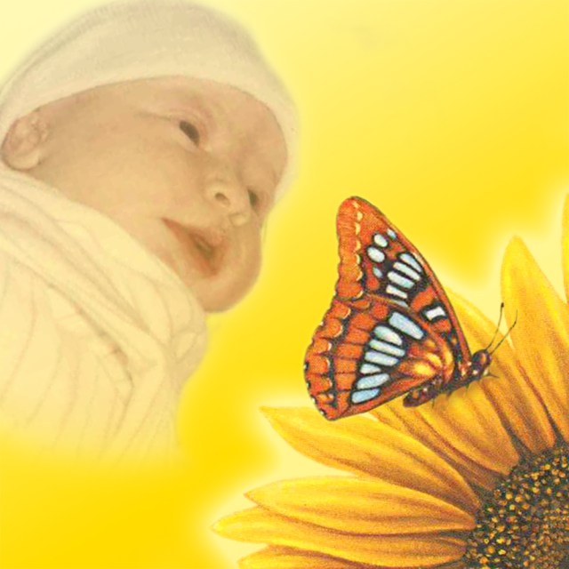 This image is for my audio book story about my song “No Words.” The baby is actually my daughter, who was born 11 months after Jason died.