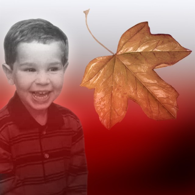 This image is for my audio story named “The Amputation of My Soul."