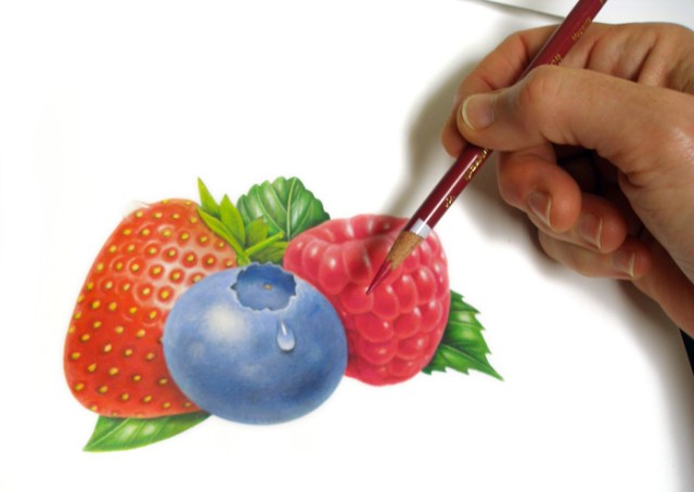 Illustrating Fruit #3