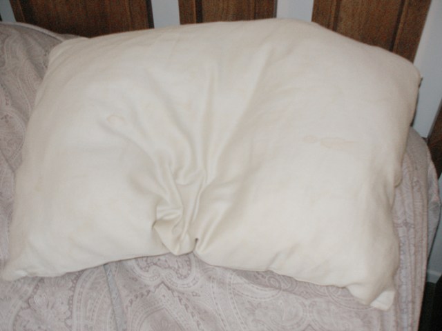 In those wrinkles, I see a heart shape.