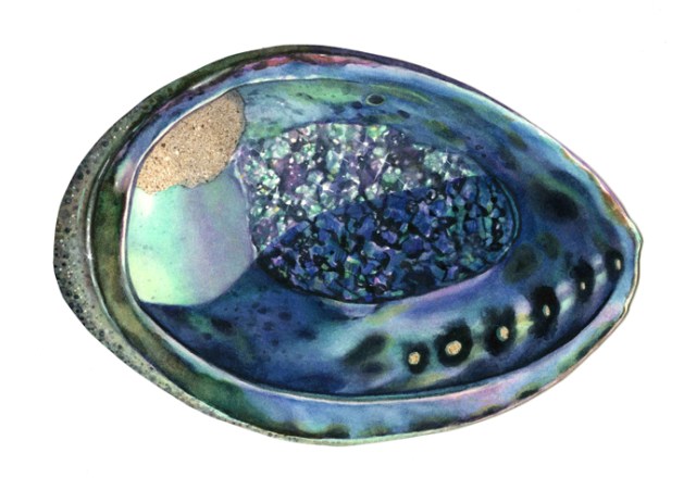 I share this painting I made many years ago of an abalone shell. People hearing about my medicine healing experience are telling me “Aw, baloney!”