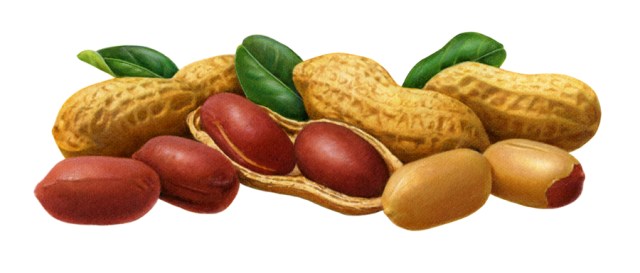 It probably seems like I am going nuts. Perhaps instead, I am coming out of my “shell.”