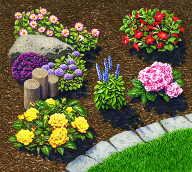 Garden with Mulch