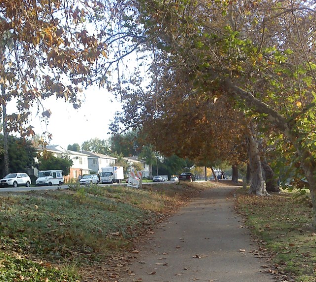 Walking near my coop