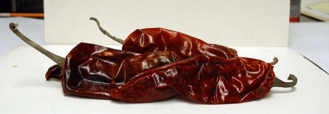 Chipotle reference close-up