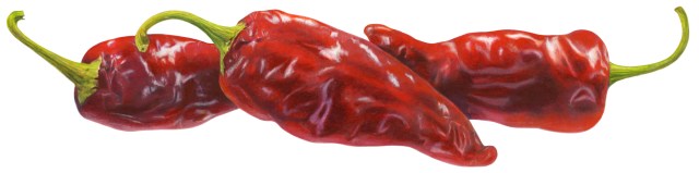 Chipotle Pepper Final Art