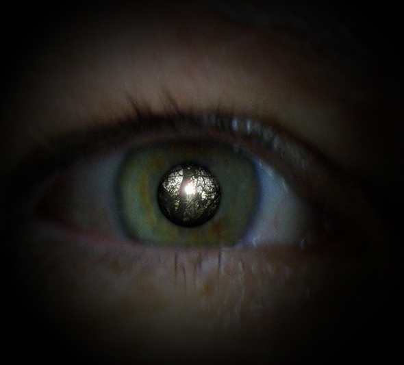 Through the darkness