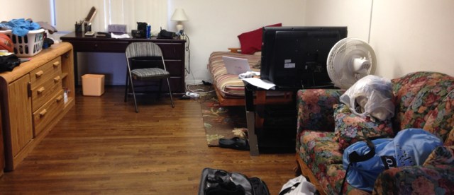 my living room that my oldest son (23) loves. When he first moved in he was deeply depressed.