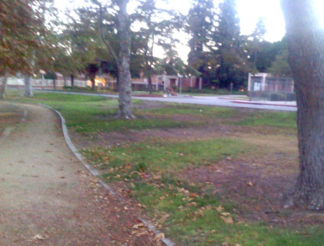 I still take walks near my old high school whenever possible. But my foggy vision often depresses me.