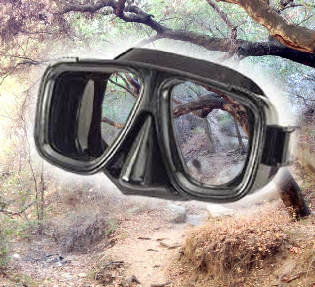 The mask in the forest