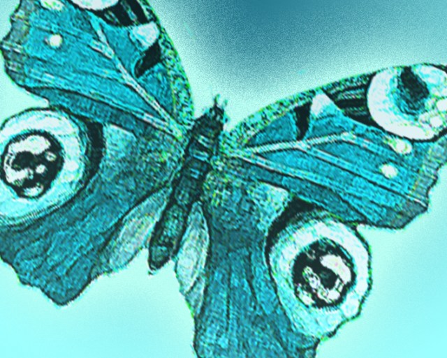 When I created this image while my mother was dying, I did not notice that the patterns on the wings resembled skulls.