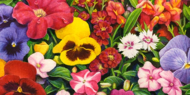 Garden with Flats close up 2