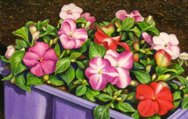 Garden with Flats close up