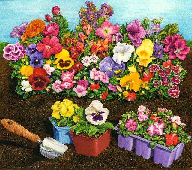 This is my larger painting that I cropped for my song garden image. My illustration was commissioned for use on a soil product package label.