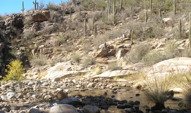 Tuscon landscape