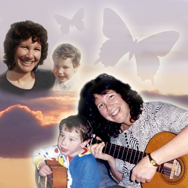 The wonderful metaphors cover