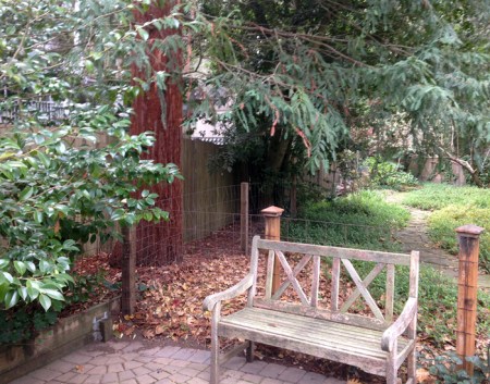 This picture is the backyard of Liz’s house where I stayed for two nights.