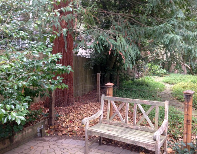 This picture is the backyard of Liz’s house where I stayed for two nights.