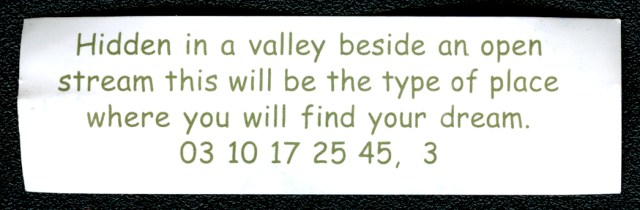Prior to our excursion, I appreciated this fortune I received in a cookie during the luncheon I attended with Liz and her mother.