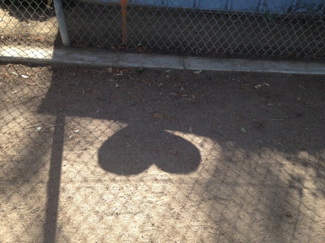 Heart Shadow