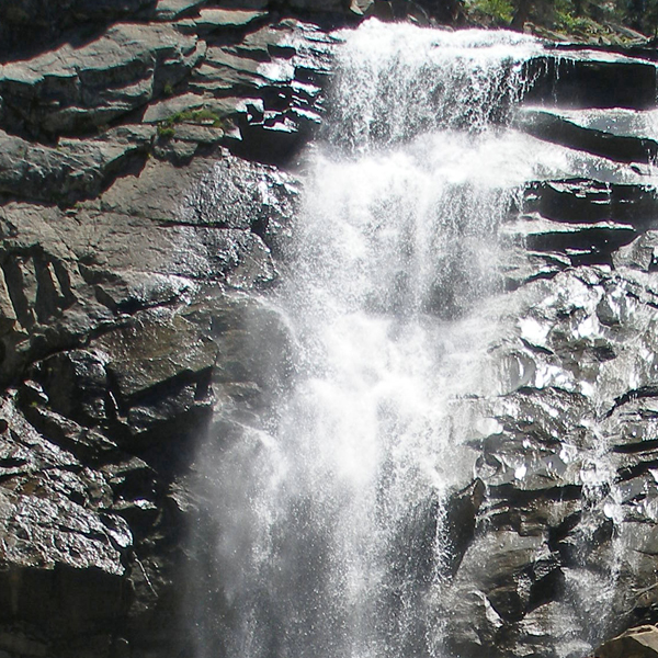 I like this photo/illustrations better with the blue tones.