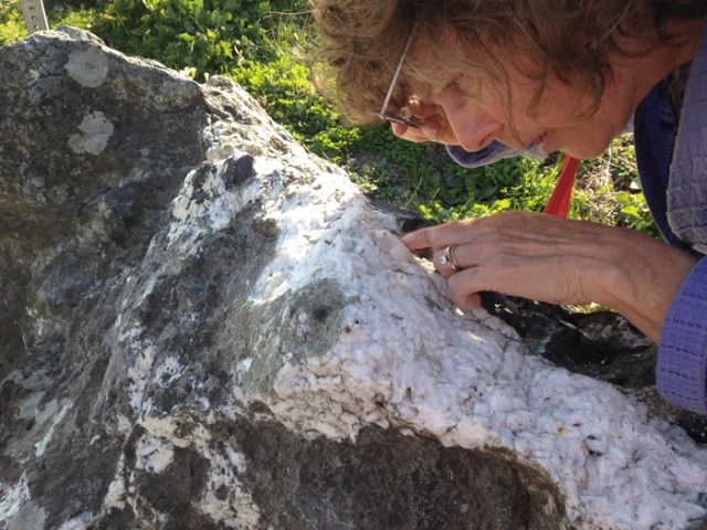Liz examining rock