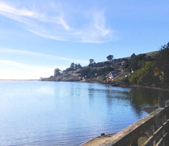 Russian River & Ocean 2