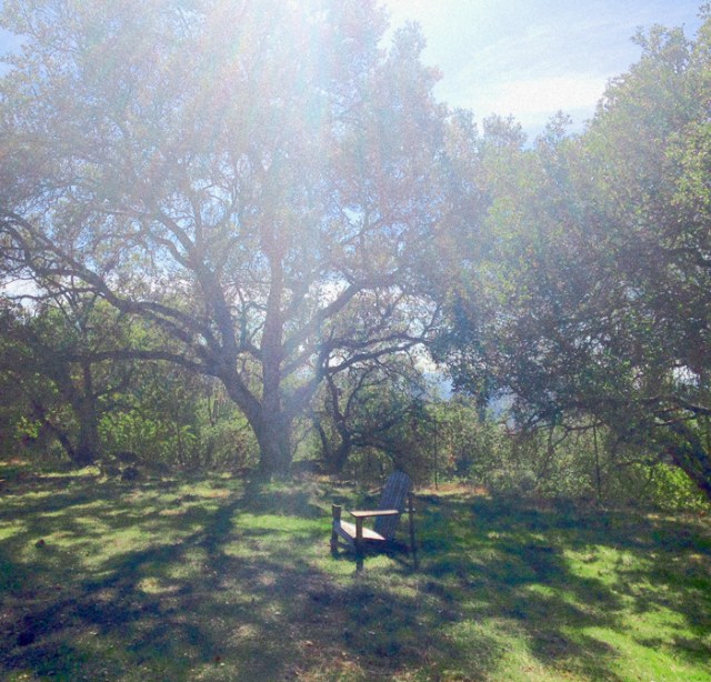 This is a filtered photo from my recent trip up north. It does represent how I feel with the glare and fog. Nature and the outdoors are healing, but my eyes still hurt.
