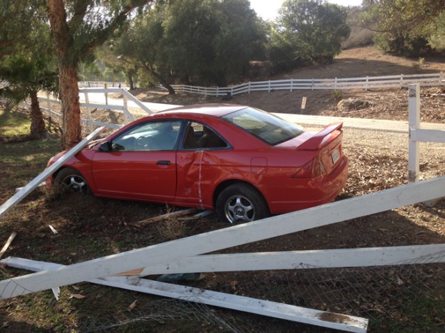 A picture my daughter sent me.