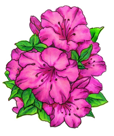 Watercolor Azaleas