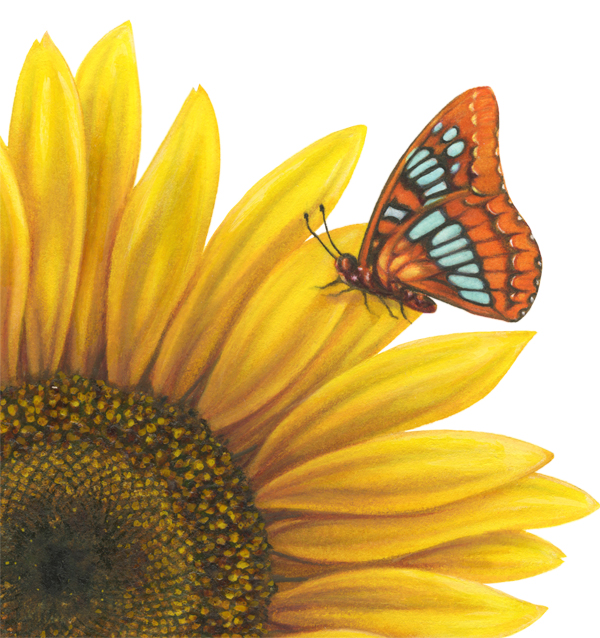 This is one of my illustrations for a book cover. After twenty years of being lost, I received it back from Harper Publishing last week!