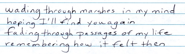 Wading through marshes