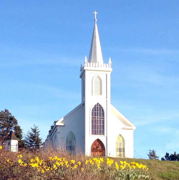 In February, I visited Northern California where I took this picture of this famous church.