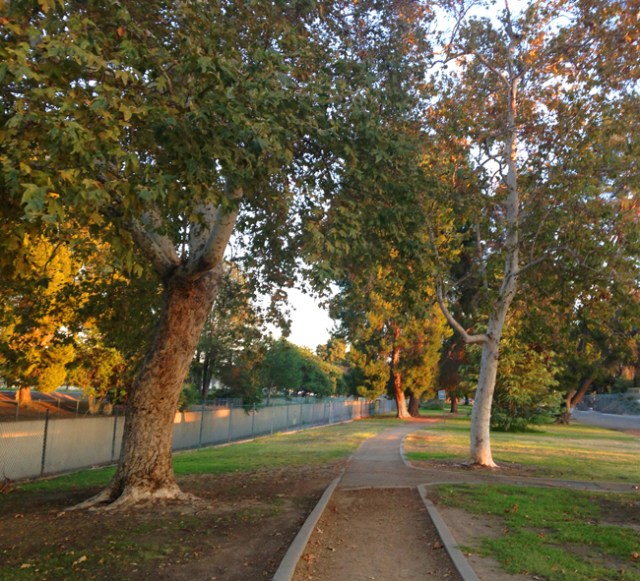 I like adding pictures to my stories. Taking a walk every day helps me clear my mind as I listen to the music I’m working on.