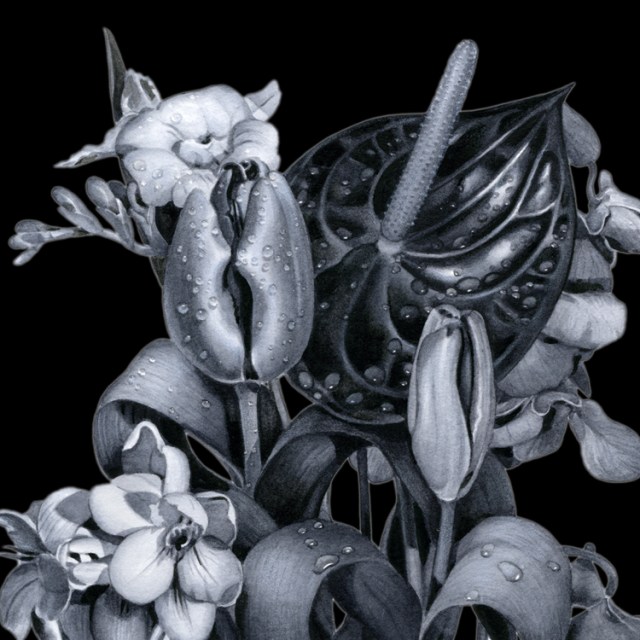 This floral painting of mine was created using black and white watercolors. I am trying to get away from seeing things in black and white, which is my metaphor for extreme thinking. When I expand my mind, I’ve discovered beautiful new shades of tonality.