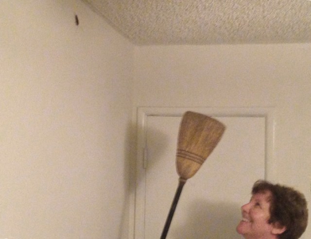 There’s something about me holding a broom that is reminiscent of a witch. But I’ll save that thought for the next story.