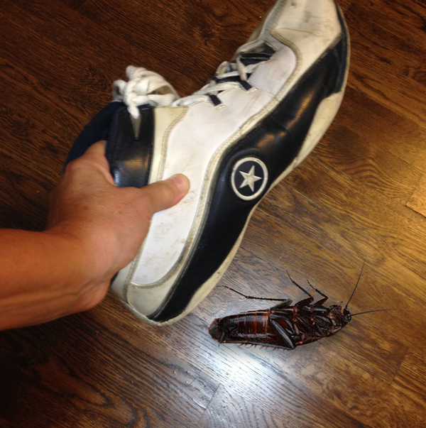 Be assured – this is a Photoshop re-enactment!