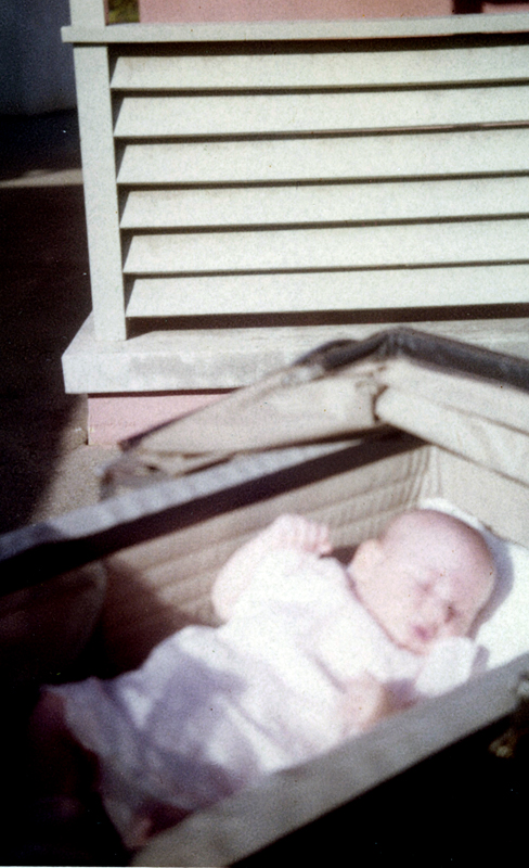Judy sleeping in her basket