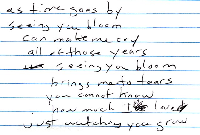 These are lyrics in progress that I scrawled out while writing my song “Watching You Grow.”