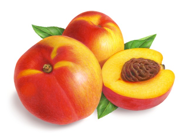 Despite my dry eyes, I’ve continued to illustrate and have had an excellent year.