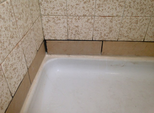To be honest, I wasn’t thrilled with how the grout looked when Shane was done. I did ask him to fix it and perhaps that was why he didn’t return.